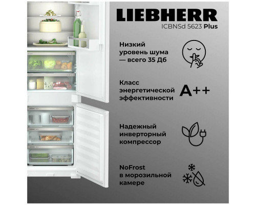 Встраиваемый холодильник Liebherr ICBNSd 5623-20 001 Встраиваемый холодильник Liebherr ICBNSd 5623-20 001