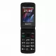 Мобильный телефон MAXVI E10 black
