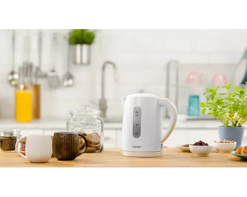 Чайник ZELMER ZCK7616I белый/слоновая кость