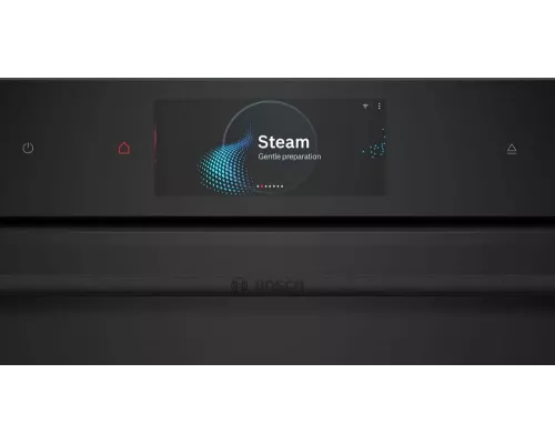 Духовой шкаф Bosch CSG958DB1