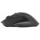 Мышь ACER OMR150 черный