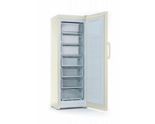 Морозильная камера INDESIT DSZ 5175 E Морозильная камера INDESIT DSZ 5175 E