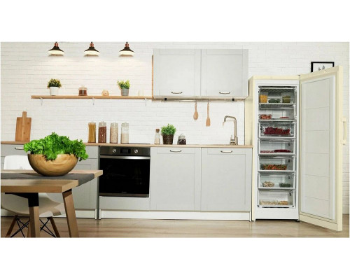 Морозильная камера INDESIT DSZ 5175 E Морозильная камера INDESIT DSZ 5175 E
