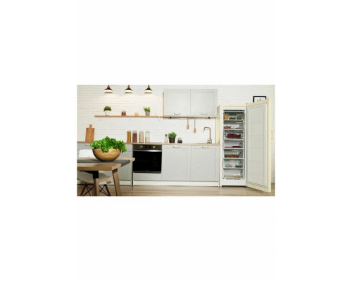 Морозильная камера INDESIT DSZ 5175 E Морозильная камера INDESIT DSZ 5175 E