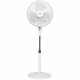 Вентилятор Ballu BFF-815W