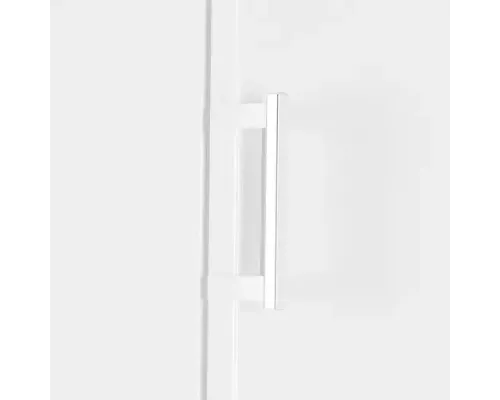 Морозильная камера HISENSE FV245N4AW1 белый