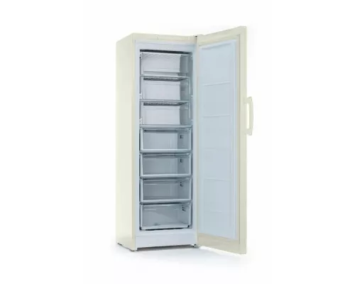 Морозильная камера INDESIT DSZ 5175 E