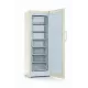 Морозильная камера INDESIT DSZ 5175 E