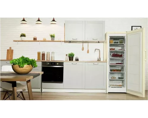 Морозильная камера INDESIT DSZ 5175 E