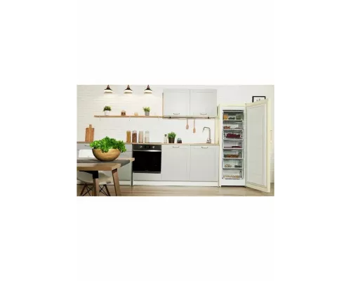Морозильная камера INDESIT DSZ 5175 E