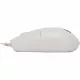 Мышь OKLICK 147M белый