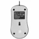 Мышь OKLICK 155M серебристый