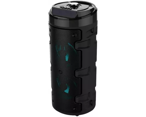 Портативная колонка HYUNDAI H-MC160 черный