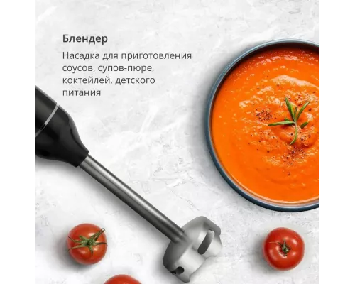 Блендер BQ HB500S Черный-Стальной