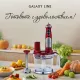 Блендер Galaxy LINE GL 2106