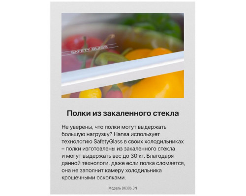 Встраиваемый холодильник Hansa BK306.0N белый Встраиваемый холодильник Hansa BK306.0N белый