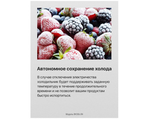 Встраиваемый холодильник Hansa BK306.0N белый Встраиваемый холодильник Hansa BK306.0N белый