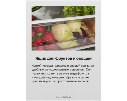 Встраиваемый холодильник Hansa BK306.0N белый Встраиваемый холодильник Hansa BK306.0N белый