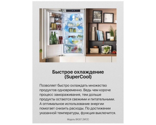 Встраиваемый холодильник Hansa BK307.2NFZC