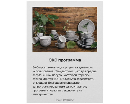 Посудомоечная машина Hansa ZWM656WEH