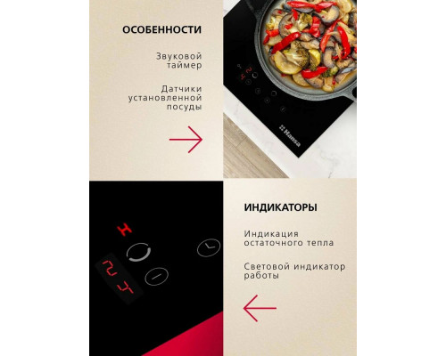 Варочная поверхность Hansa BHI36200 черный Варочная поверхность Hansa BHI36200 черный