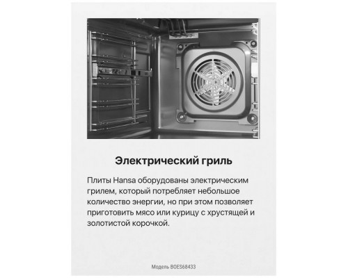 Духовой шкаф Hansa BOES68433 Духовой шкаф Hansa BOES68433
