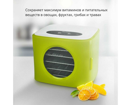 Сушилка для овощей и фруктов Blackton Bt FD1113 Зеленый-Белый Сушилка для овощей и фруктов Blackton Bt FD1113 Зеленый-Белый