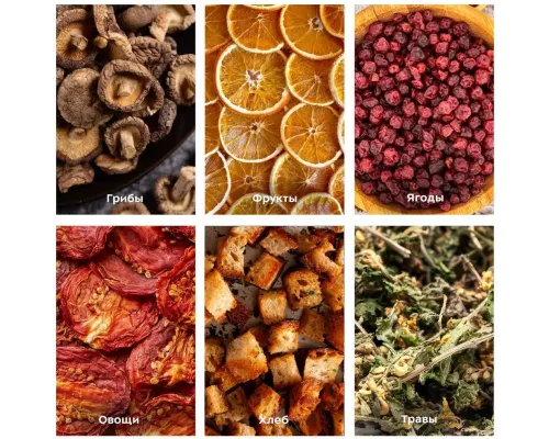 Сушилка для овощей и фруктов Kitfort КТ-1919