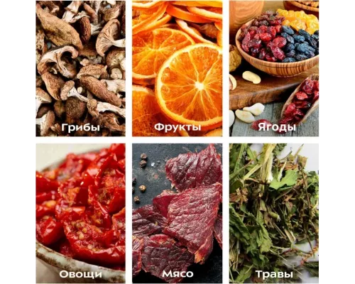 Сушилка для овощей и фруктов Kitfort КТ-1919