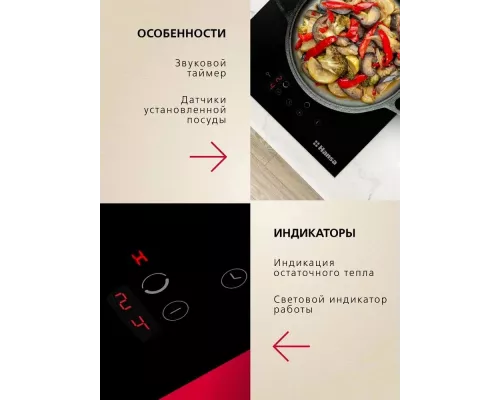 Варочная поверхность Hansa BHI36200 черный