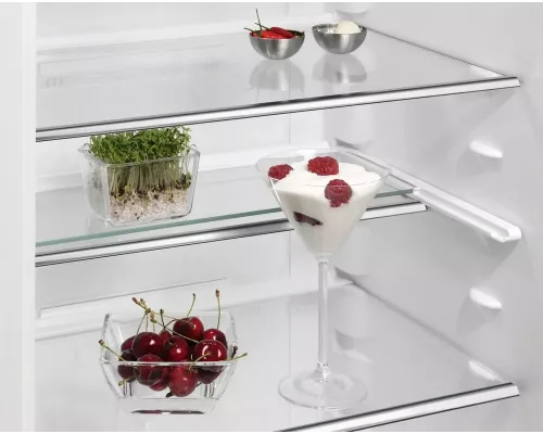 Встраиваемый холодильник AEG SCB819E8TS