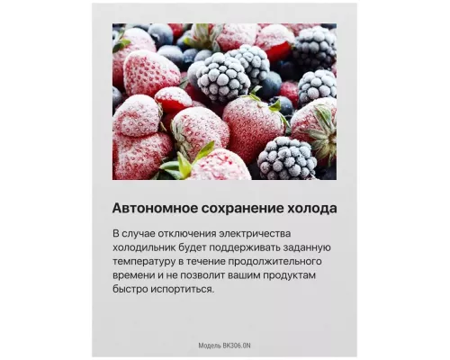 Встраиваемый холодильник Hansa BK306.0N белый