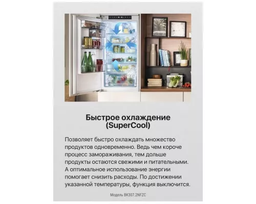 Встраиваемый холодильник Hansa BK307.2NFZC