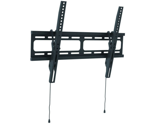 Кронштейн Wize WT55