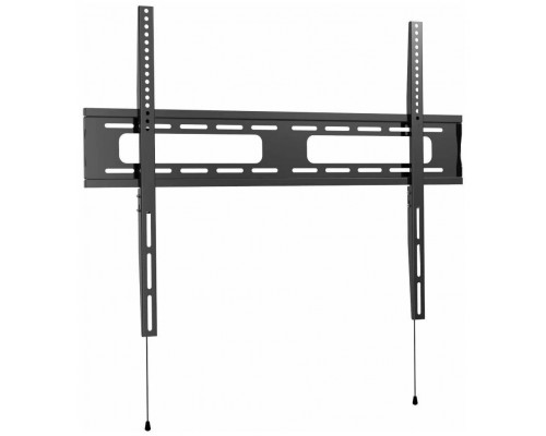 Кронштейн Wize WT55