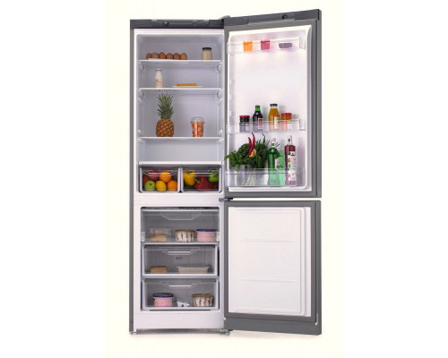 Холодильник INDESIT DS 3180 G серебристый Холодильник INDESIT DS 3180 G серебристый