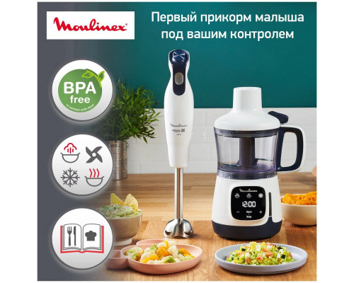 Блендер MOULINEX DD55W110 Блендер MOULINEX DD55W110
