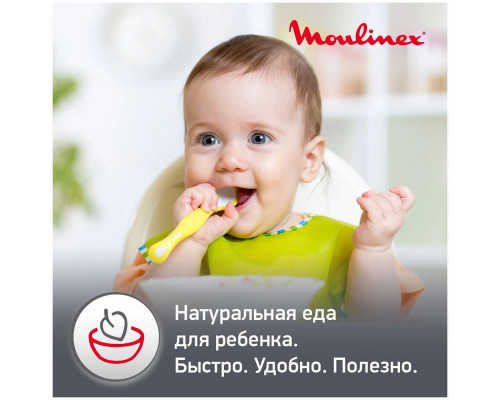 Блендер MOULINEX DD55W110 Блендер MOULINEX DD55W110