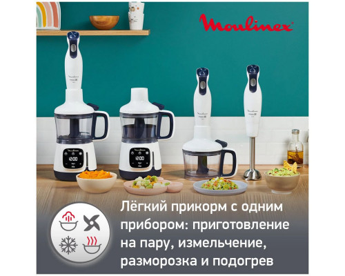 Блендер MOULINEX DD55W110 Блендер MOULINEX DD55W110