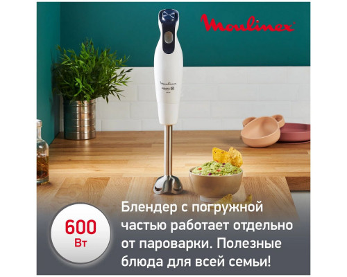 Блендер MOULINEX DD55W110 Блендер MOULINEX DD55W110