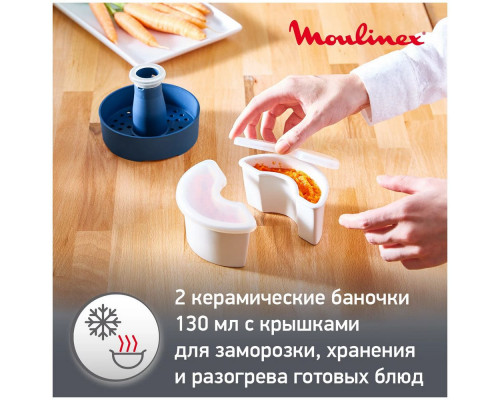 Блендер MOULINEX DD55W110 Блендер MOULINEX DD55W110