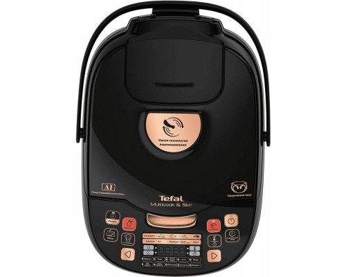 Мультиварка Tefal RK901F32 бронзовый/черный Мультиварка Tefal RK901F32 бронзовый/черный