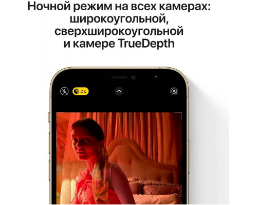 Смартфон Apple iPhone 12 Pro Max 256GB Graphite (Japan) Смартфон Apple iPhone 12 Pro Max 256GB Graphite (Japan)