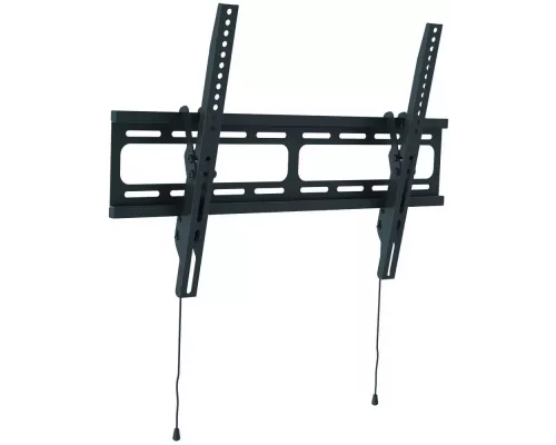 Кронштейн Wize WT55