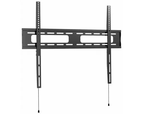 Кронштейн Wize WT55