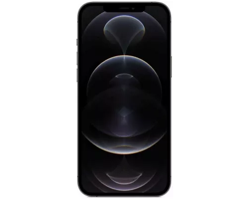 Смартфон Apple iPhone 12 Pro Max 256GB Graphite (Japan)