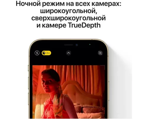 Смартфон Apple iPhone 12 Pro Max 256GB Graphite (Japan)