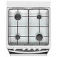 Кухонная плита DARINA S4 GM441 101 W