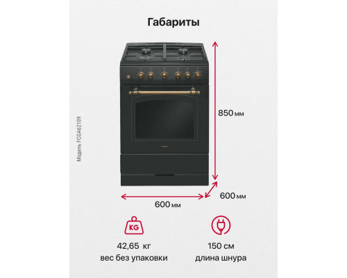 Кухонная плита HANSA FCGA62109 черный
