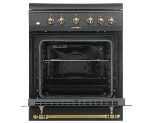 Кухонная плита HANSA FCGA62109 черный